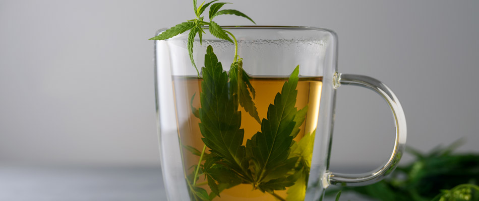 infusions de CBD