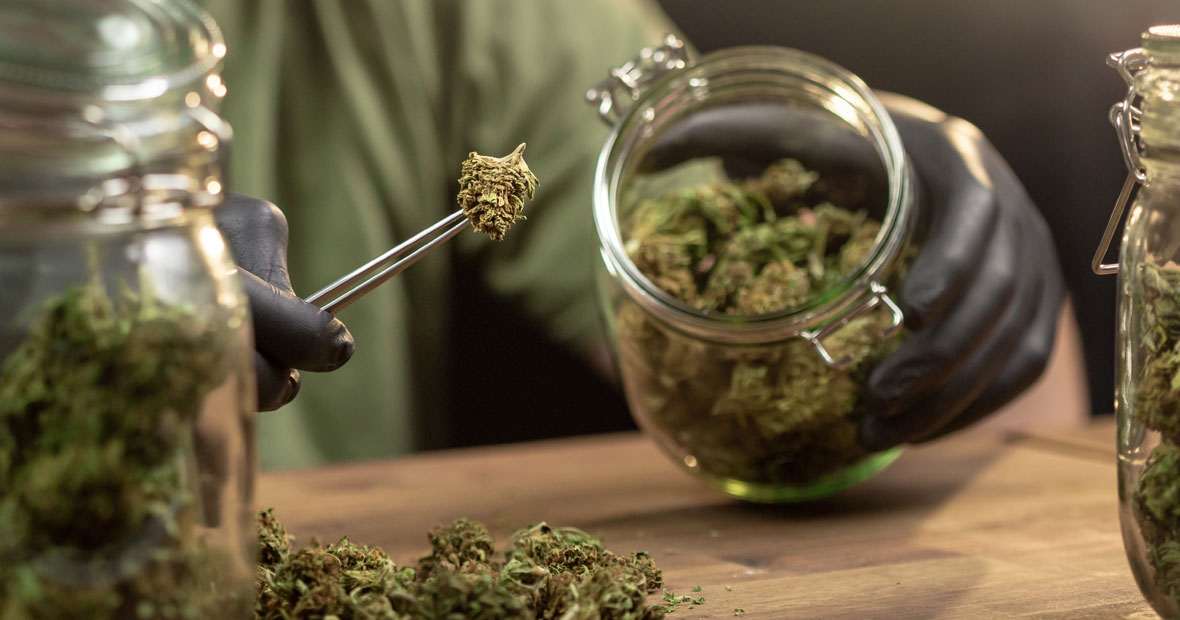 fleurs de CBD